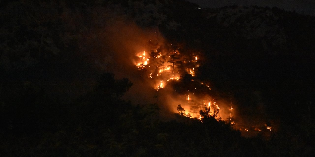 İzmir’de çıkan orman yangını kontrol altına alındı