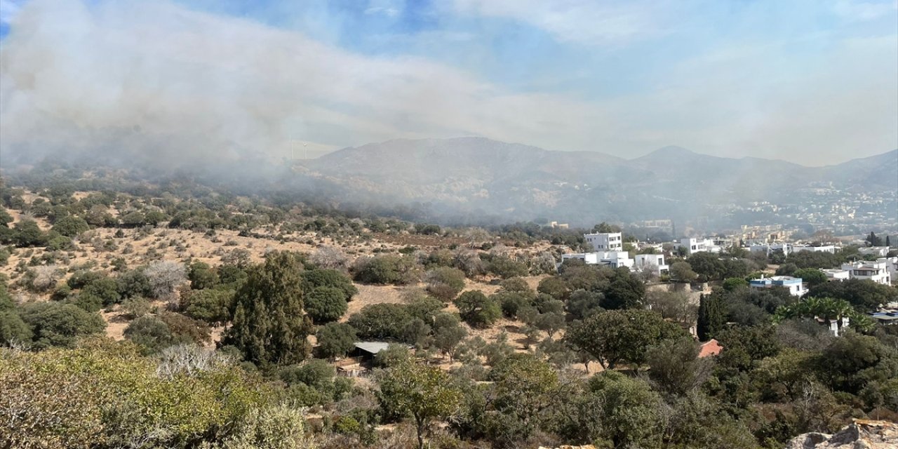 Bodrum'da çıkan yangında 5 hektar makilik zarar gördü