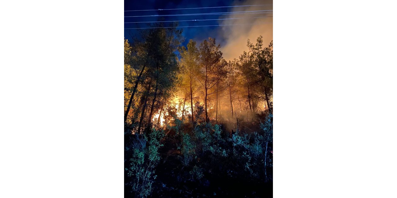 Muğla'da çıkan iki orman yangınına müdahale ediliyor