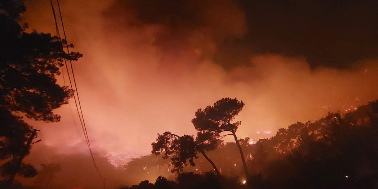 Muğla'nın Menteşe ilçesinde orman yangını çıktı