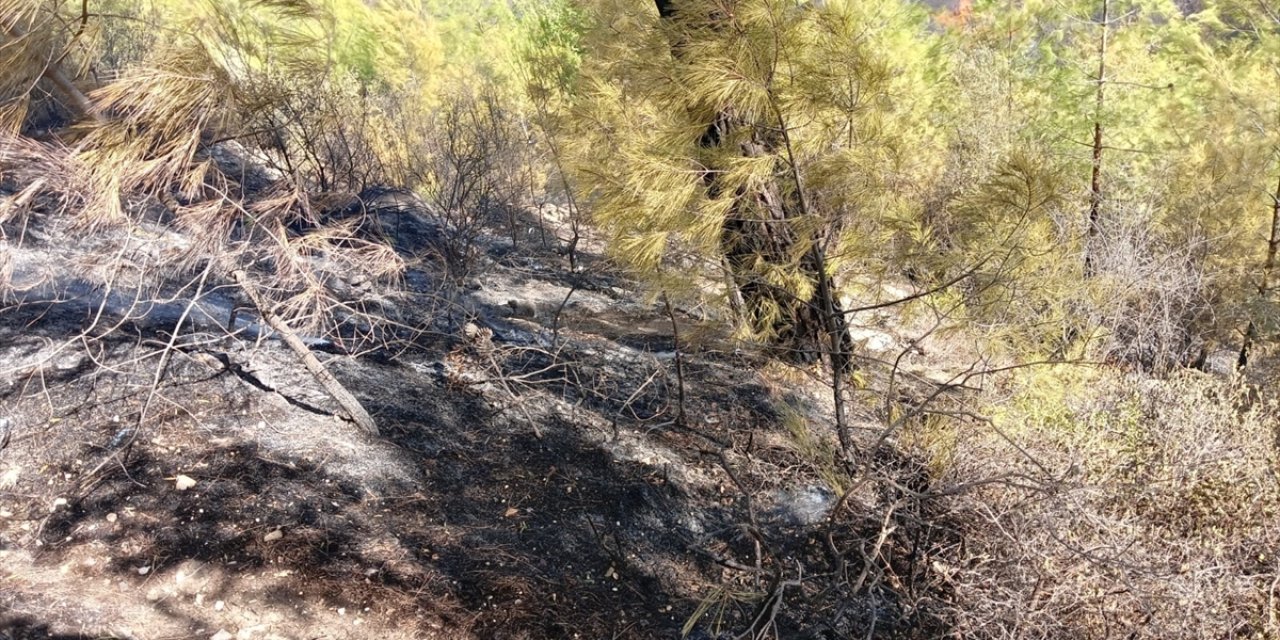 Antalya'daki orman yangını yaklaşık 2 hektarlık alan ve eve zarar verdi