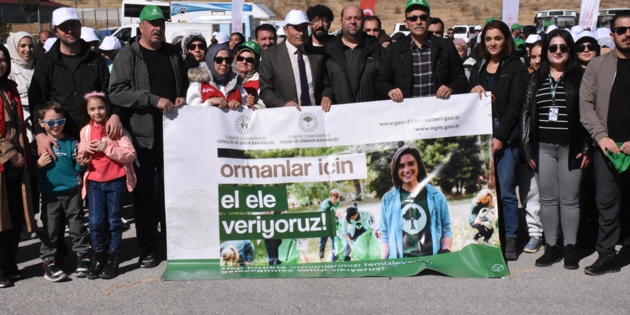 Van, Bitlis, Hakkari ve Muş'ta ormanlarda temizlik yapıldı