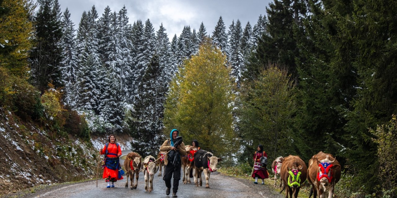 Doğu Karadeniz'de kar yağışı yaylalardan dönüşü hızlandırdı