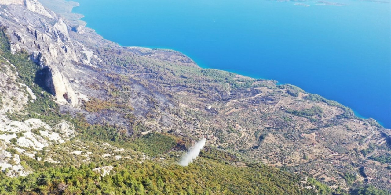 Menteşe'deki orman yangını kontrol altına alındı