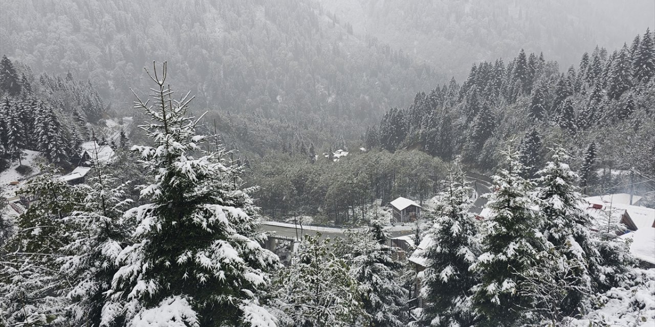 Orta ve Doğu Karadeniz'in yüksek kesimlerinde kar etkili oldu