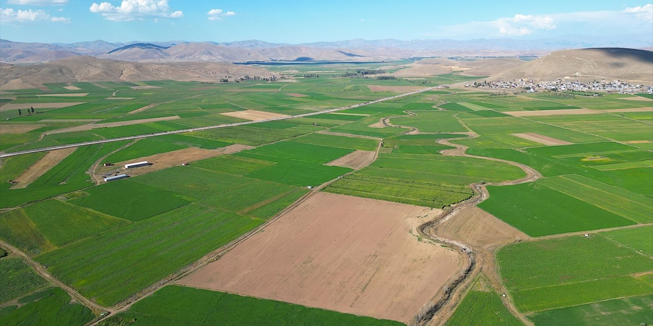 Bayburt'un modern sulamayla buluşan çorak arazilerinde üretim bereketi