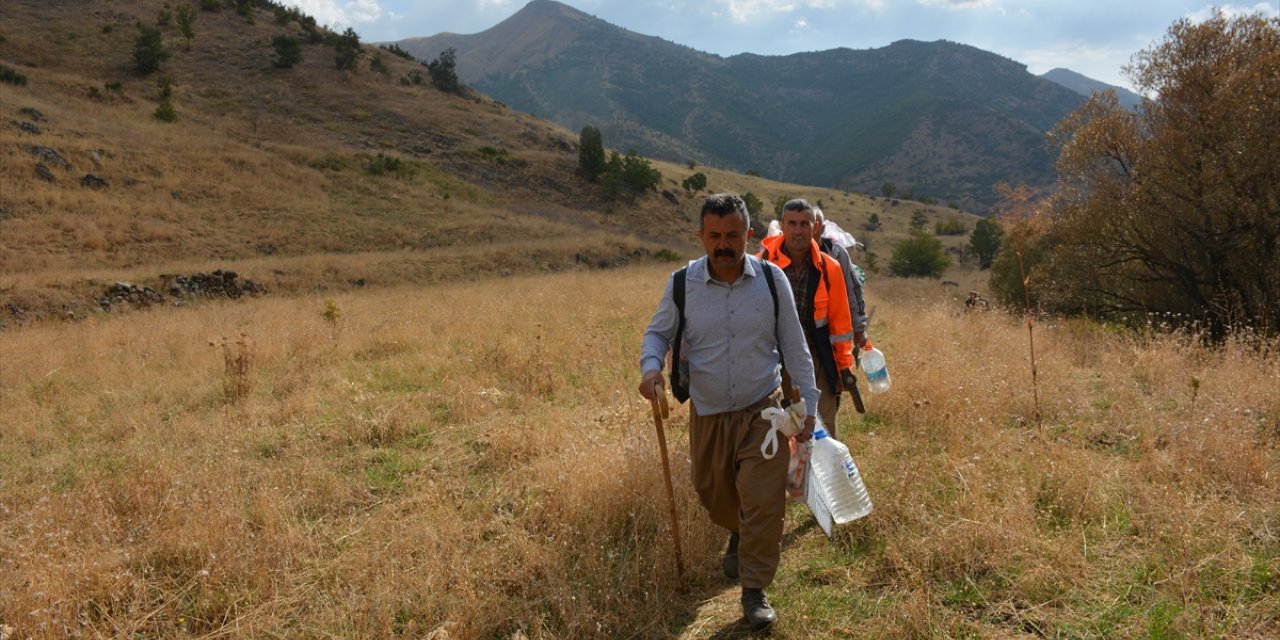 Hakkari'de 29 yıl sonra özel izinle gittikleri köylerinin zorlu arazisinde kaya balı topladılar