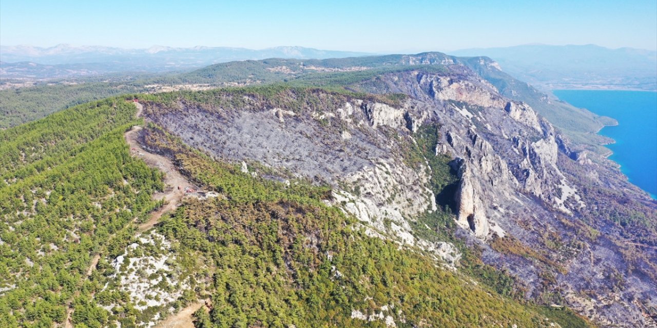 Menteşe'de ormancılar 6 kilometre "yangın şeridi" açarak alevlerin önünü kesti