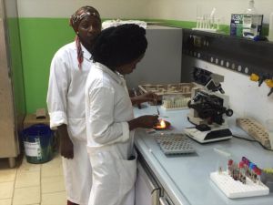 TİKA'dan Gine'de sağlık hizmeti