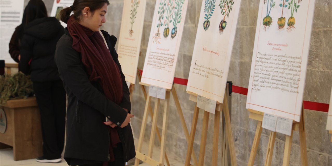 Meksika'nın tıbbi bitkileri Nevşehir'deki resim sergisinde tanıtıldı