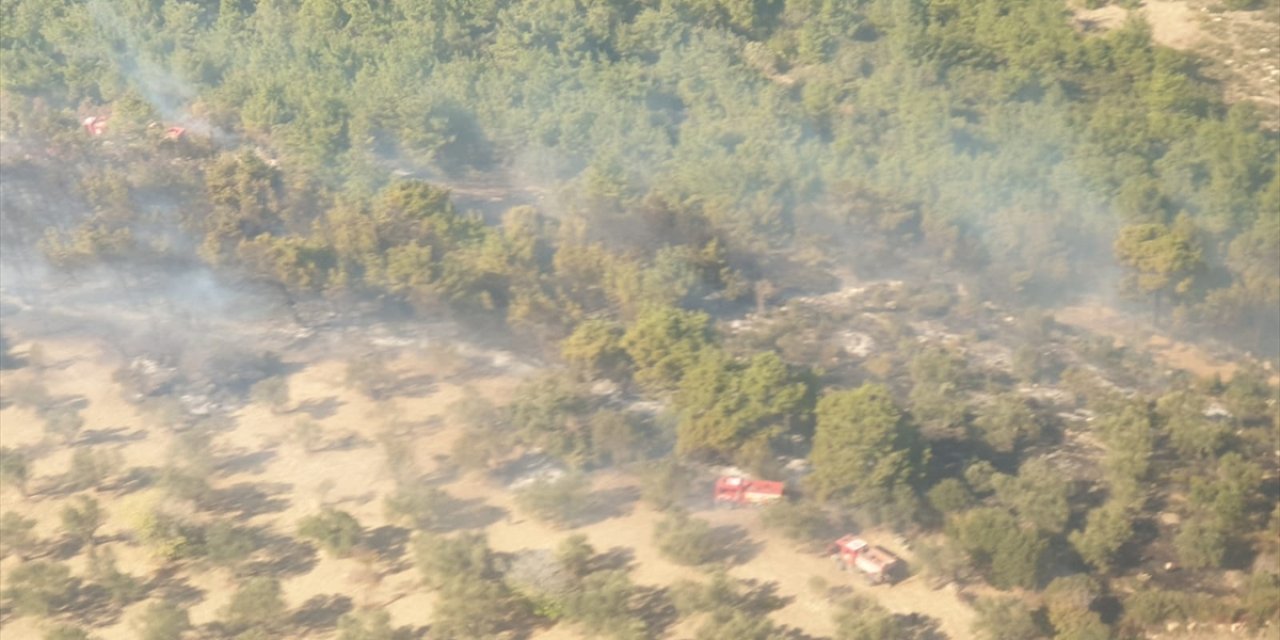 İzmir'de tarım arazisinde çıkıp ormana sıçrayan yangın kontrol altına alındı