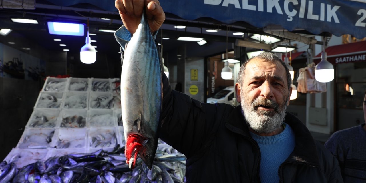 Karadeniz'de yağlanan ve büyüyen palamut yüz güldürdü