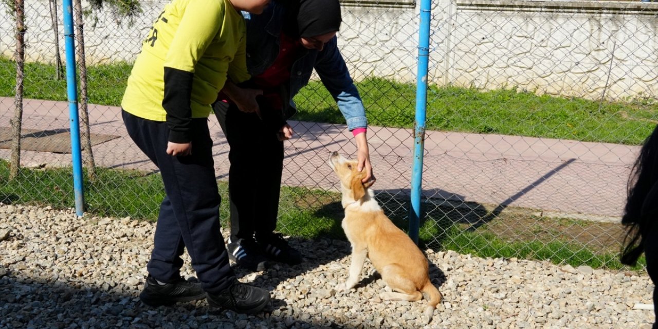 Düzce'de rehabilitasyon merkezindeki köpek yavrusunu engelsiz yaşam merkezi sahiplendi