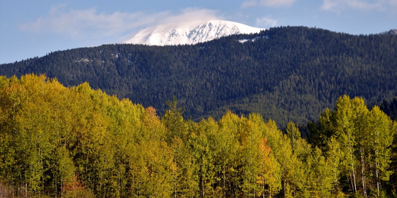 "Anadolu'nun yüce dağı" Ilgaz'da kış ve sonbahar aynı anda yaşanıyor