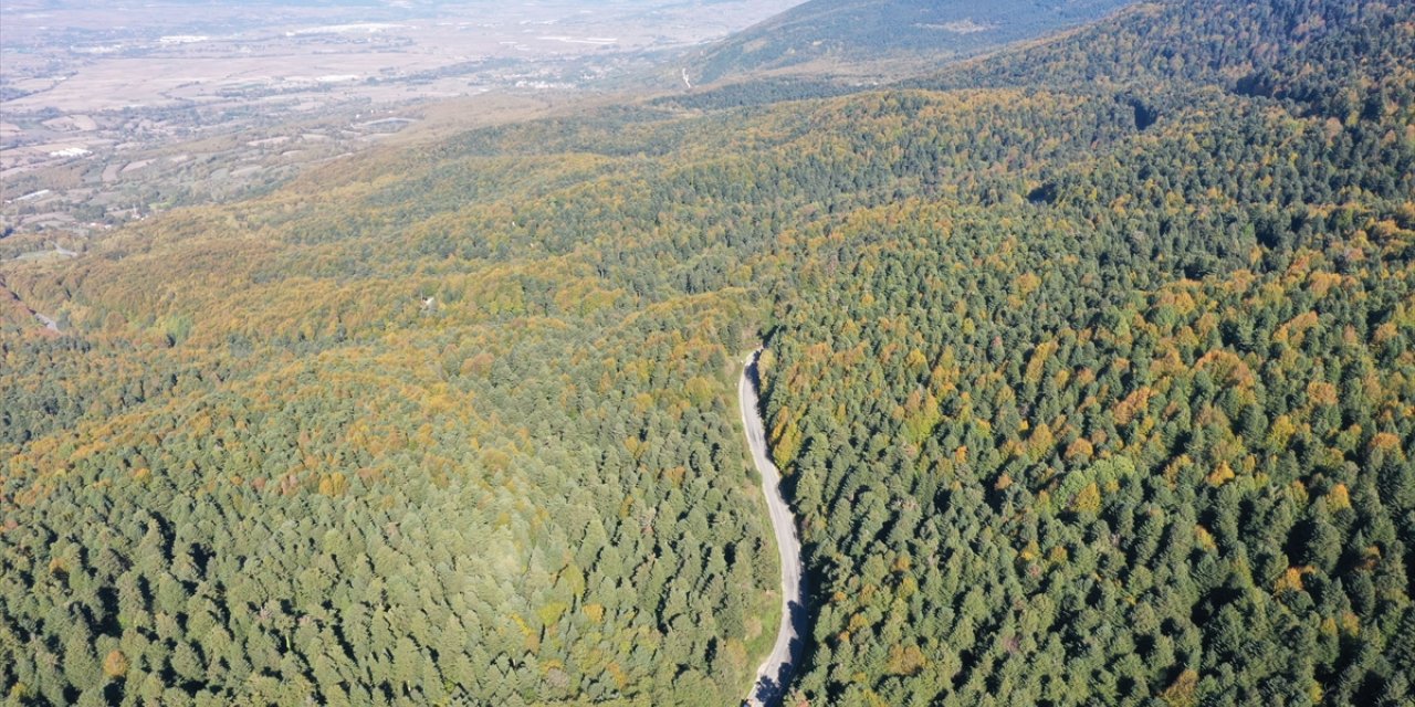 Gölcük Tabiat Parkı ve çevresi hazan mevsiminin renkleriyle süslendi