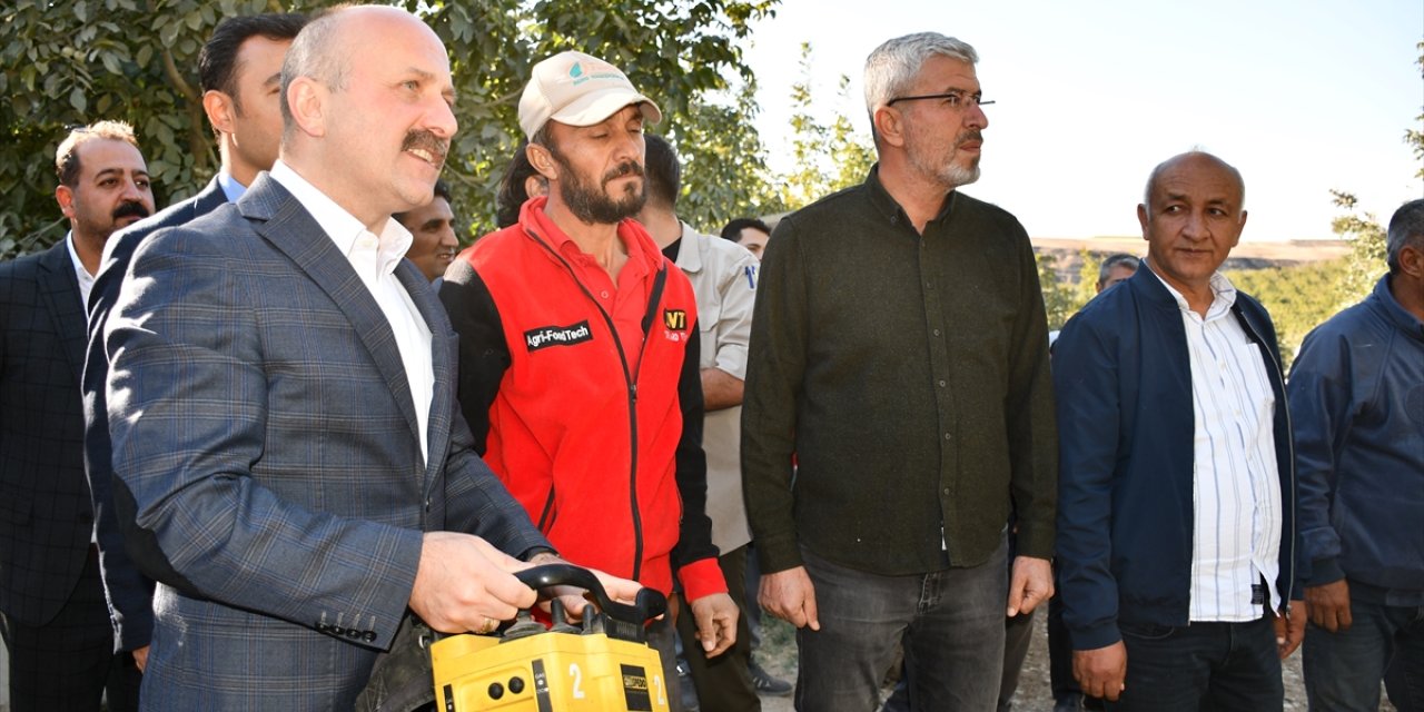 Adıyaman'daki kapama ceviz bahçesinde 900 ton ceviz hasat edildi