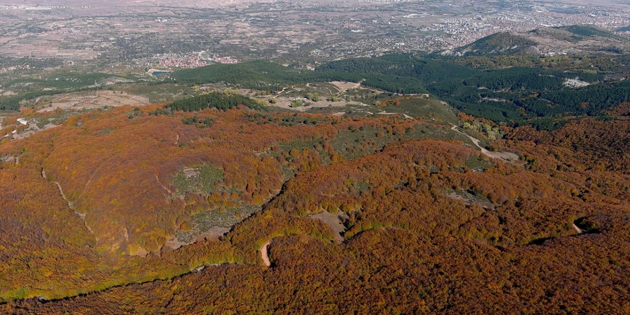 Kütahya'daki Boyalı Dağı, sonbaharın renklerine boyandı