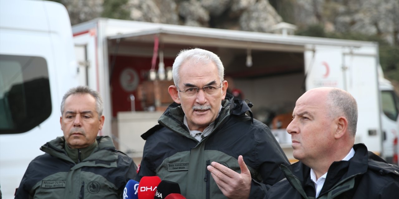 Orman Genel Müdürü Karacabey'den Denizli'deki orman yangınına ilişkin açıklama: