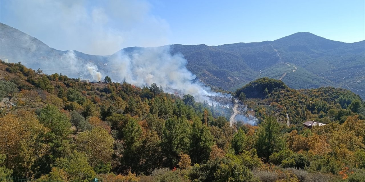 Alanya'da zirai alanda çıkan yangın kontrol altına alındı