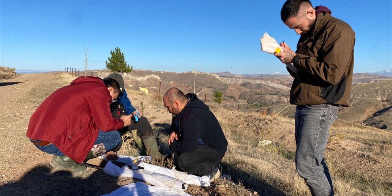 Keneyle ilgili Türk ve Japon araştırmacılar saha çalışması yaptı