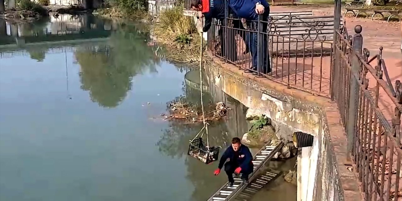 Zonguldak'ta çayda mahsur kalan kedi itfaiye merdiveniyle kurtarıldı