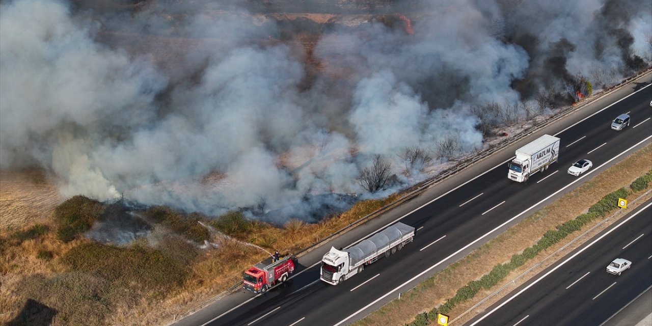 Adana'da ağaçlık alanda çıkan yangın söndürüldü