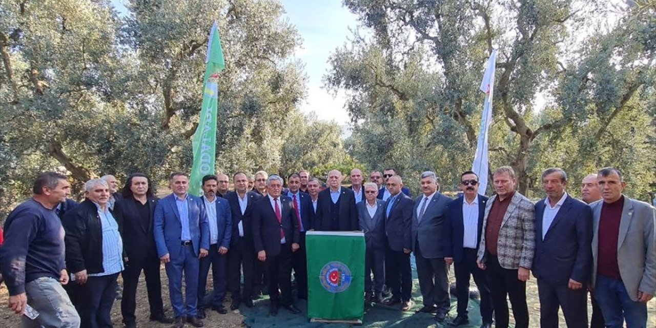 TZOB Genel Başkanı Şemsi Bayraktar, Bursa'da zeytin hasadına katıldı: