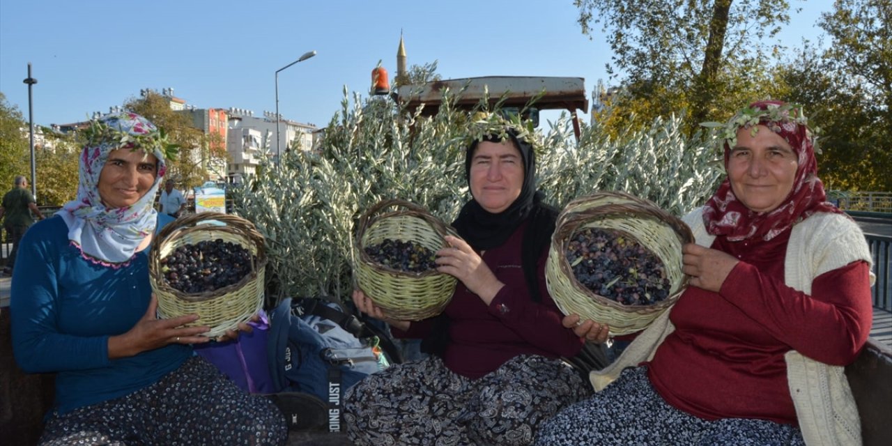 Manavgat Zeytin ve Zeytinyağı Festivali başladı