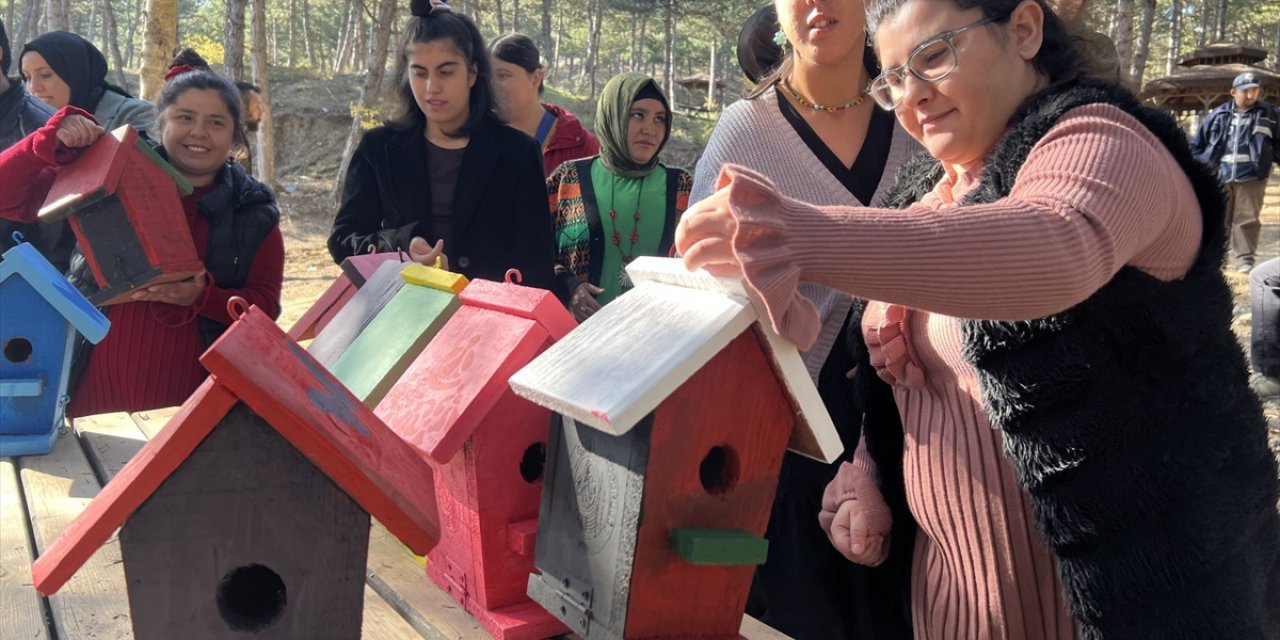 Çorum'da engelli öğrencilerin boyadığı kuş evleri tabiat parkına yerleştirildi