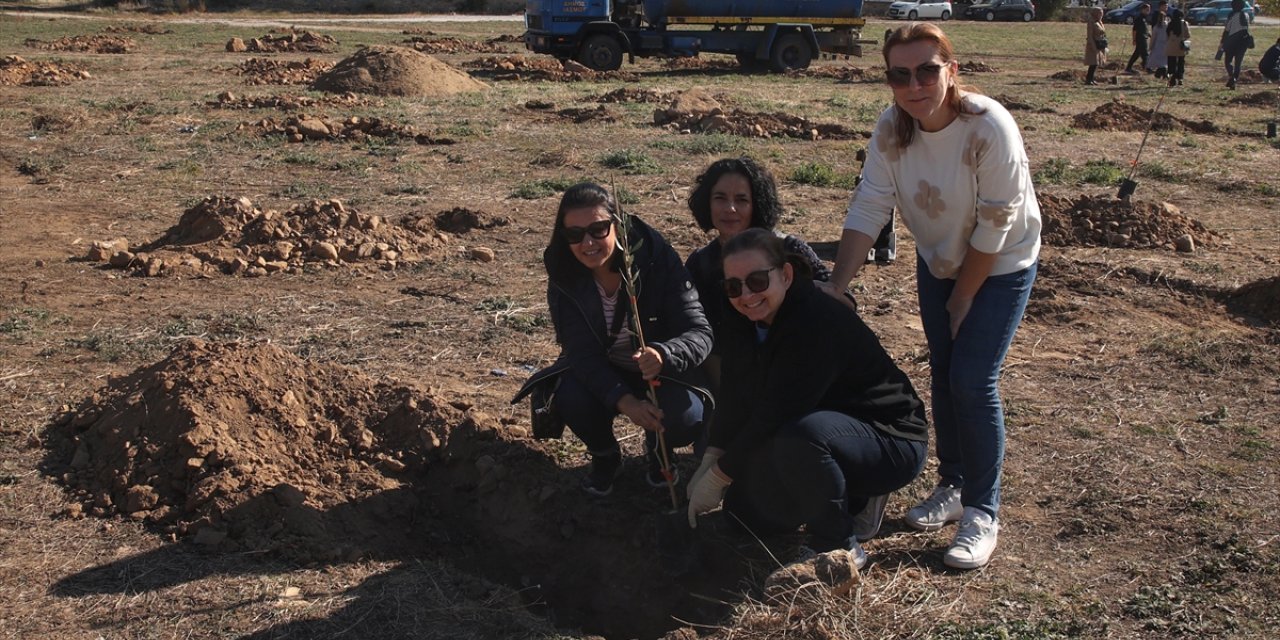 Batı Trakya Türkleri, yangınlardan etkilenen bölgelere fidan dikiyor