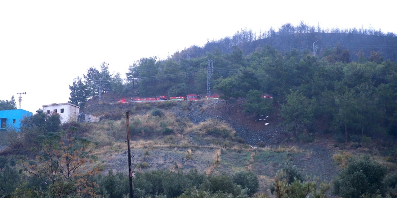 Hatay'da çıkan orman yangını kontrol altına alındı