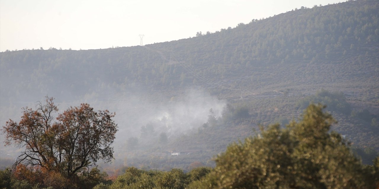 GÜNCELLEME - Muğla'da ormanlık ve zeytinlik alanda çıkan yangın kontrol altına alındı