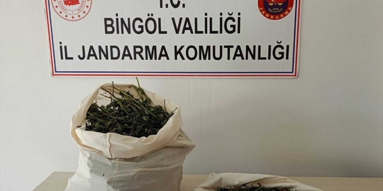 Bingöl'de 7 kilo 150 gram esrar ele geçirildi