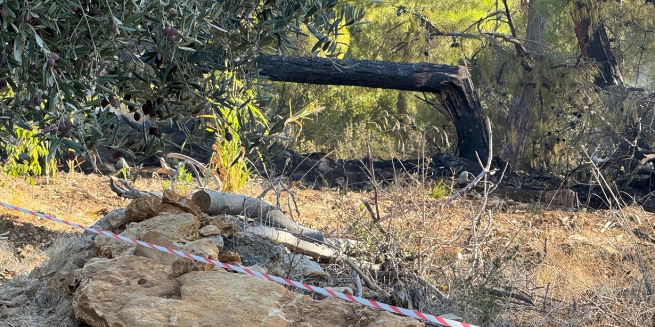 Alanya'da hava aracı ormanlık alana düştü