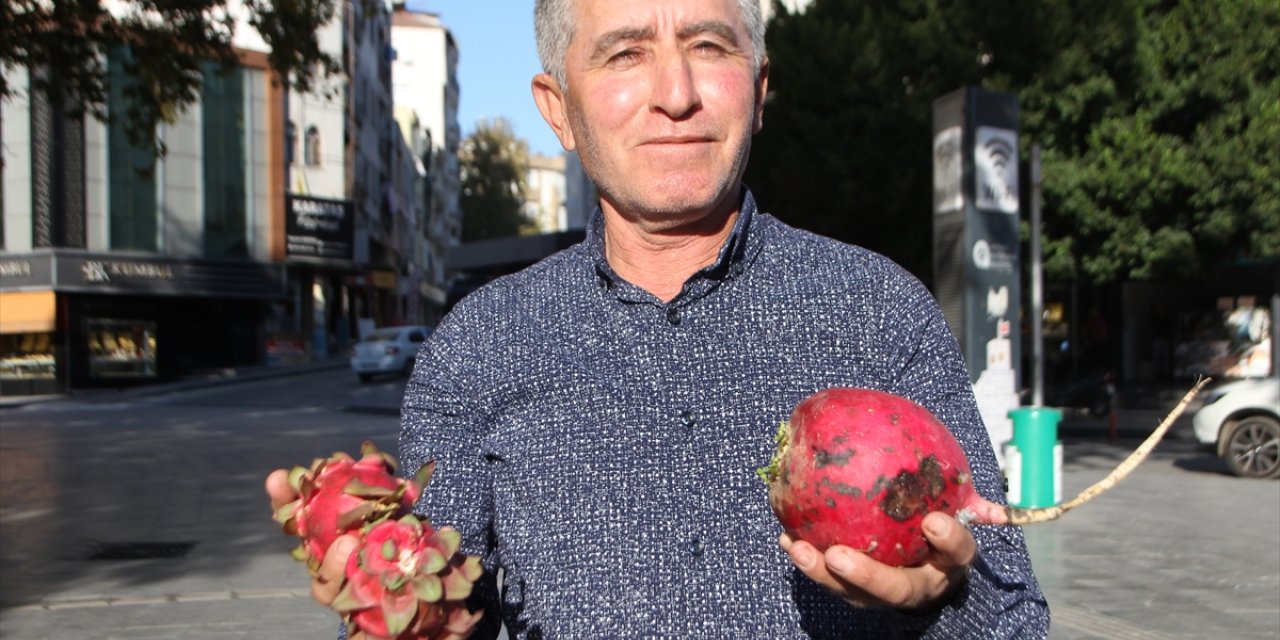 Antalyalı üretici, Trump için turp ve ejder meyvesi dağıttı