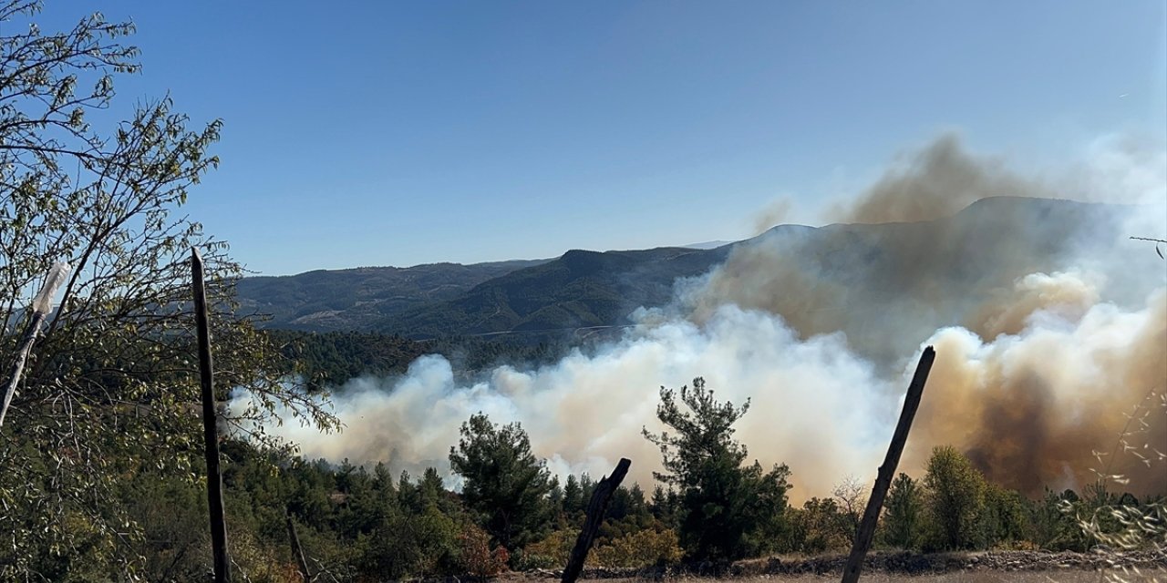 Bursa'da iki farklı noktada çıkan orman yangınına müdahale ediliyor