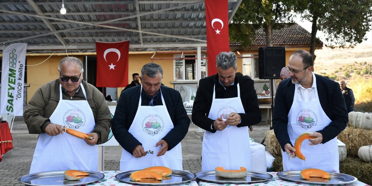 Bilecik'te "7. Kızıldamlar Kestane Kabağı Festivali" yapıldı