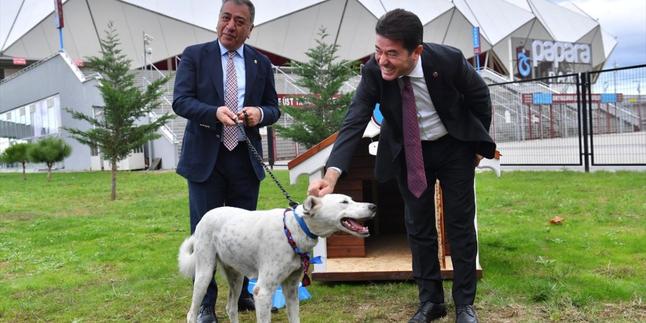 Trabzonspor Kulübü, Fenerbahçe maçı öncesinde sahaya giren köpeği sahiplendi