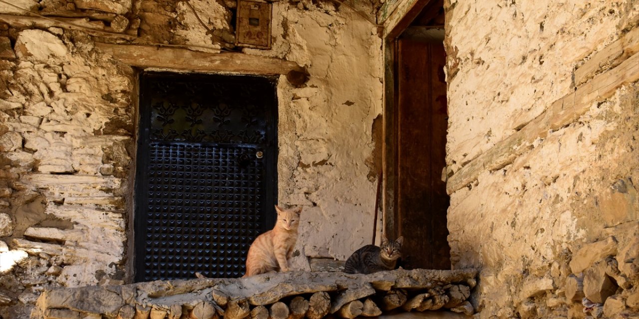 Bitlis'teki taş evlerde sonbahar güzelliği