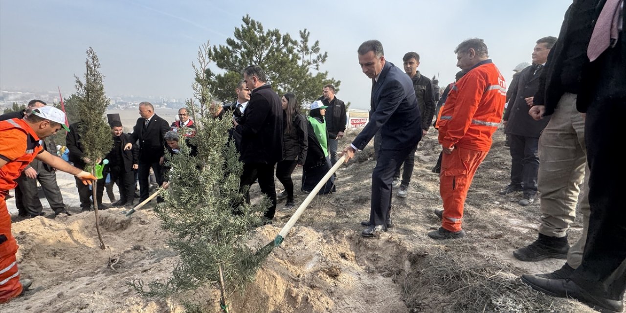 Çorum, Sinop ve Çankırı'da Milli Ağaçlandırma Günü'nde fidanlar toprakla buluşturuldu