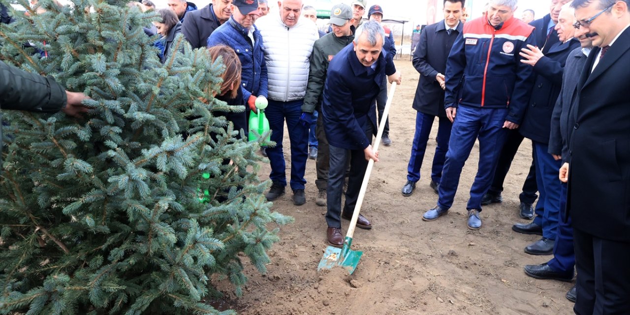 Trakya'da "Milli Ağaçlandırma Günü" dolayısıyla fidanlar toprakla buluşturuldu