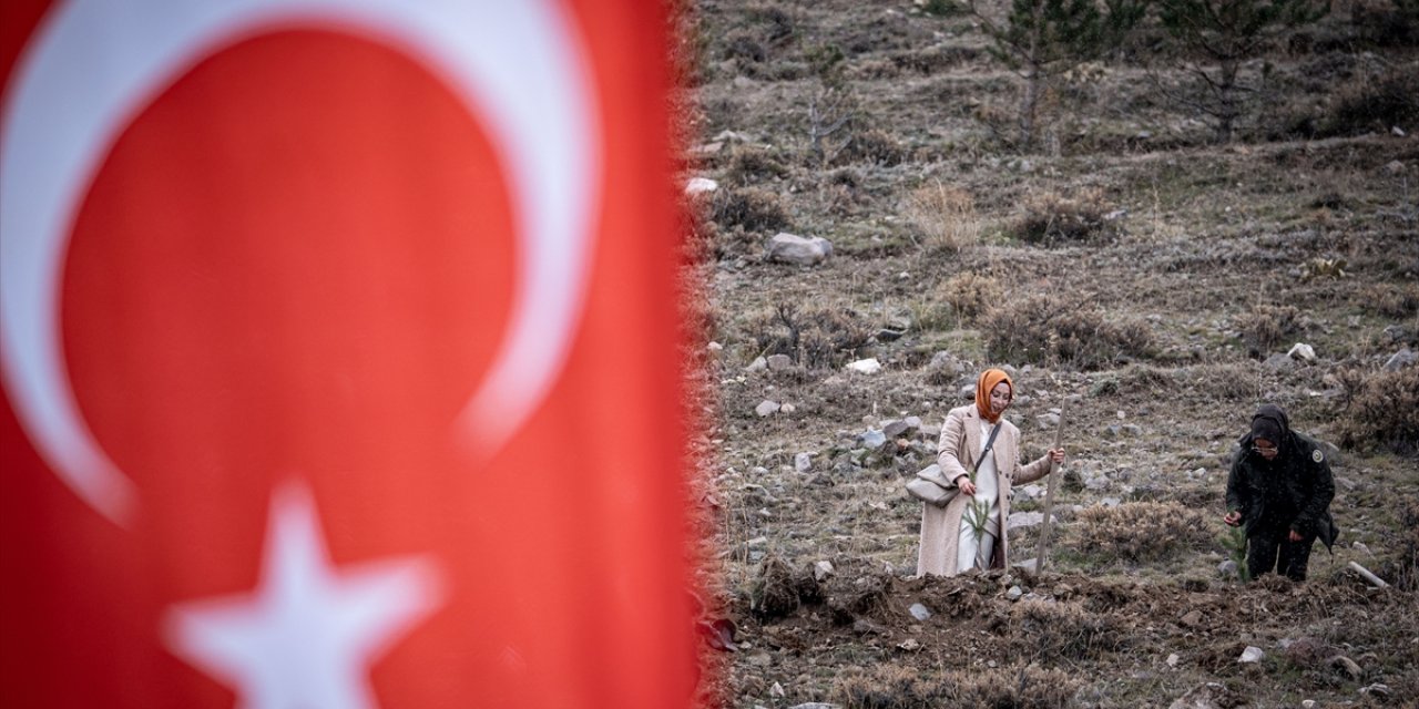 Milli Ağaçlandırma Günü'nde Doğu Anadolu'da fidanlar toprakla buluşturuldu