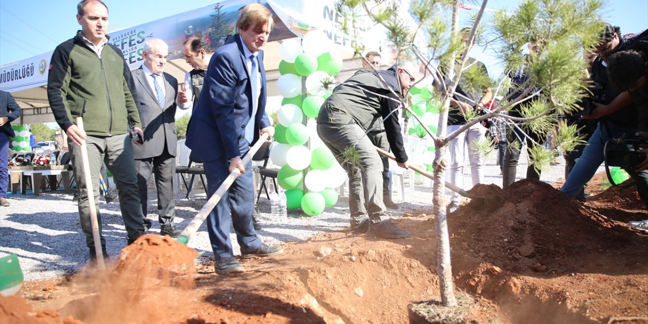 Antalya ve çevre illerde fidanlar toprakla buluştu