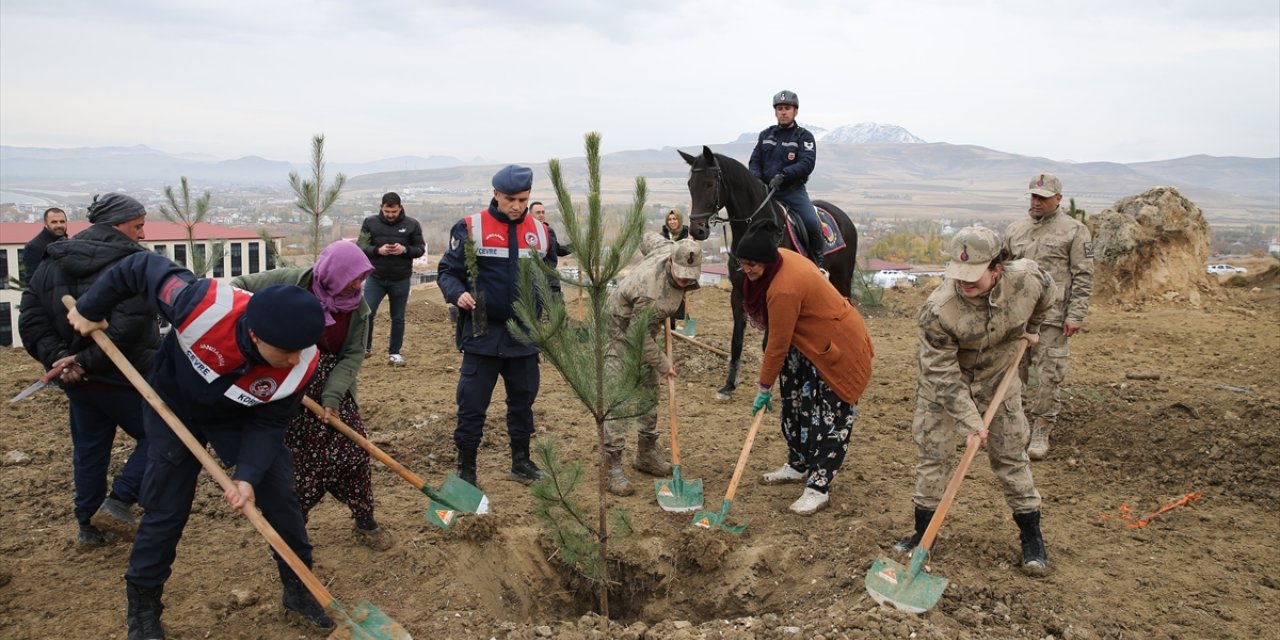 Van ve Bitlis'te fidanlar toprakla buluşturuldu