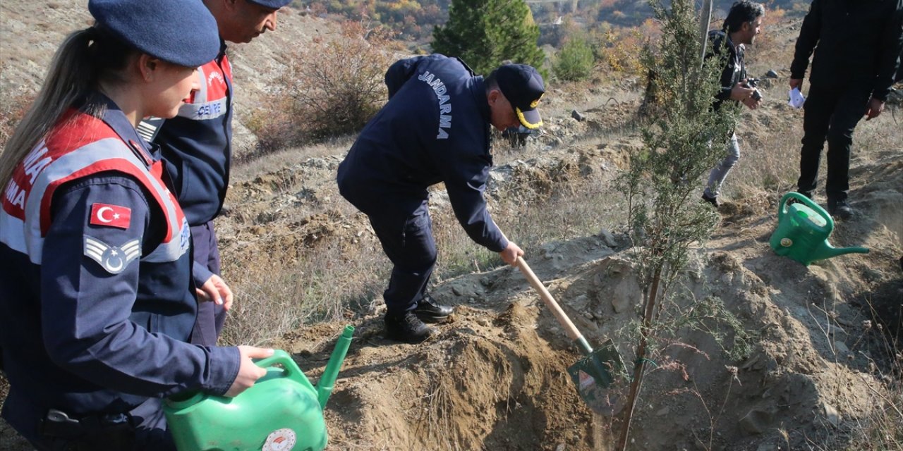 Samsun ve çevre illerde Milli Ağaçlandırma Günü'nde fidanlar toprakla buluştu