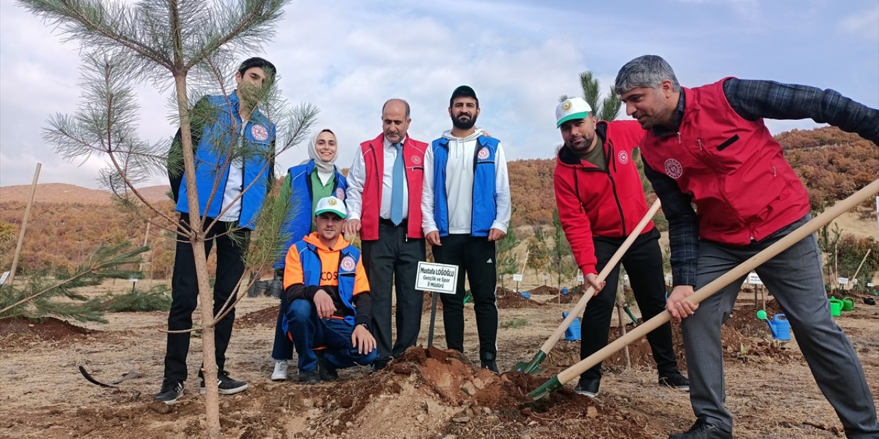 Diyarbakır, Bingöl, Şırnak ve Siirt'te fidanlar toprakla buluşturuldu