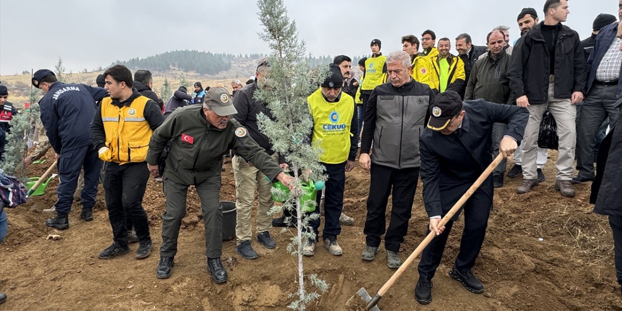 Gaziantep ve çevre illerde fidanlar toprakla buluşturuldu