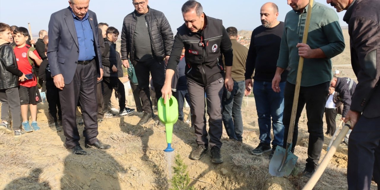 Çorum'da Milli Ağaçlandırma Günü kapsamında hatıra ormanı oluşturuldu