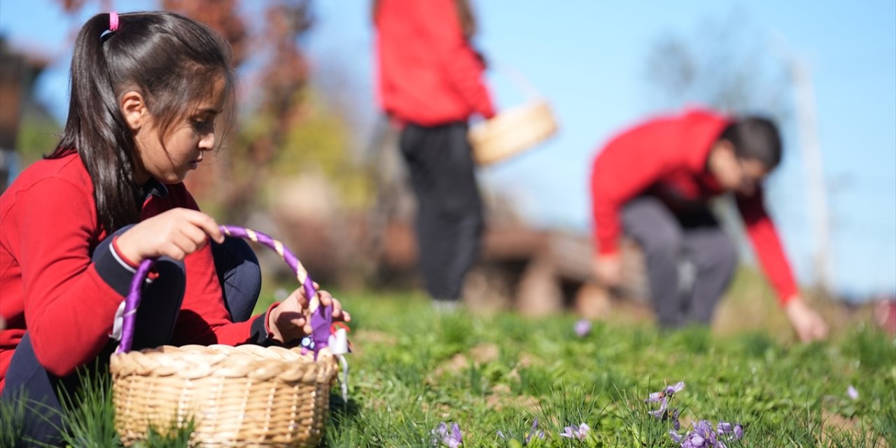 Düzce'de öğrenciler tıbbi ve aromatik bitki yetiştiriciliğini yerinde öğreniyor