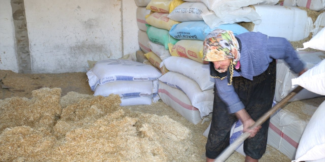 "Erzincan'ın çalışkan ninesi" 79 yaşında hayvancılığa devam ediyor